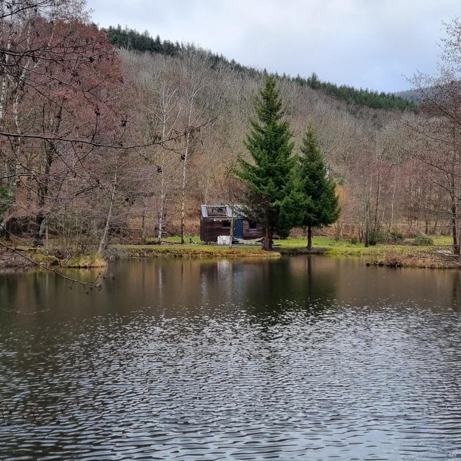 Insolite Tiny House Serenite Bien Etre Ban-sur-Meurthe-Clefcy ภายนอก รูปภาพ